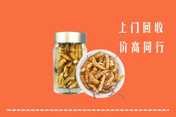 收购行情：屯留区回收冬虫夏草